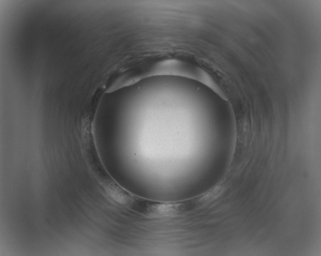 X0000070220184200606021331