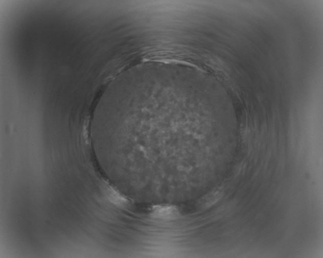X0000070220185200606021331