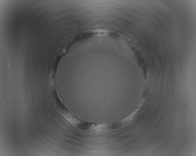 X0000070220186200606021331
