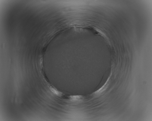 X0000070220192200606021331