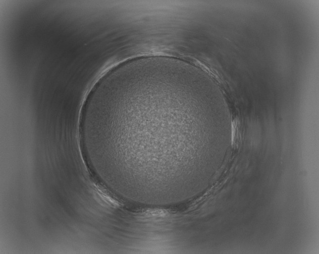 X0000070220195200606021330