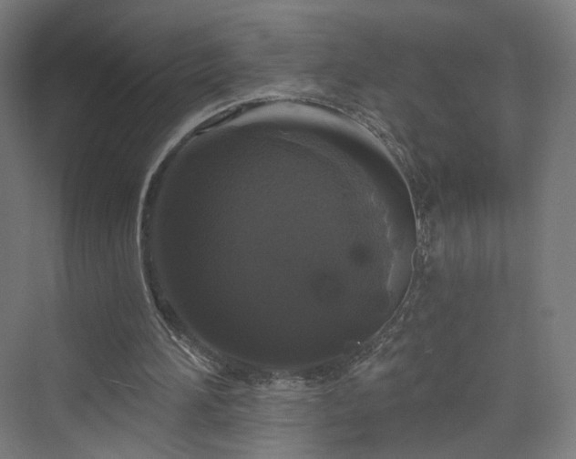 X0000070220196200606021330