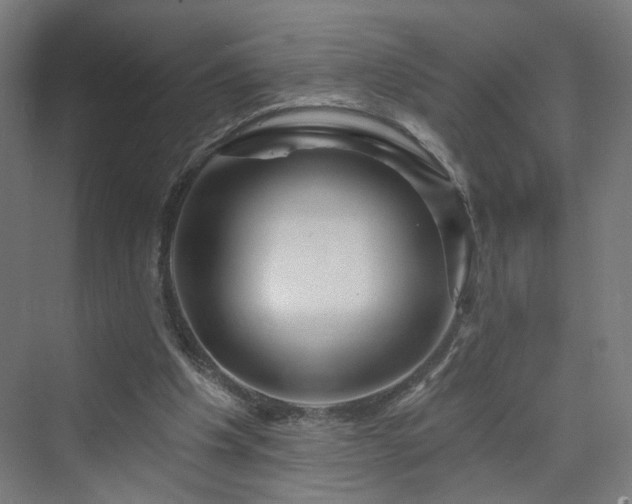 X0000070220201200606021330