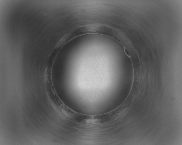 X0000070220216200606021330