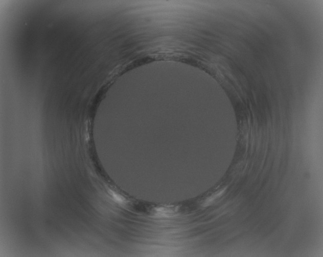 X0000070220232200606021329