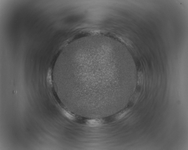 X0000070220238200606021329