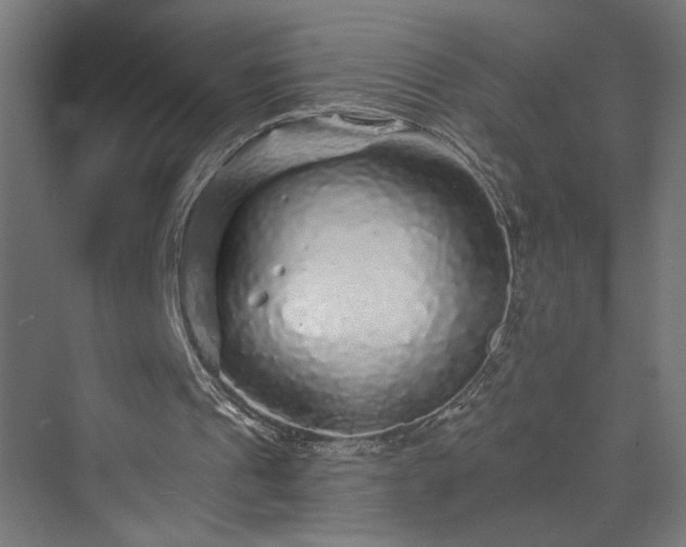 X0000070220241200606021328