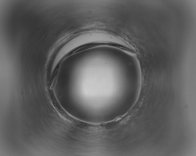 X0000070220245200606021328