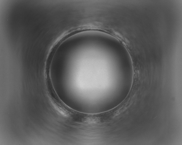 X0000070220248200606021328