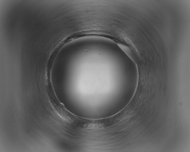 X0000070220251200606021329
