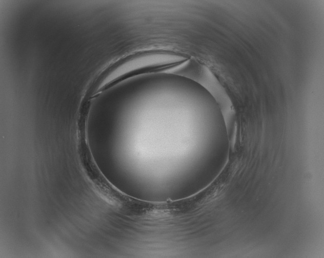 X0000070220252200606021329