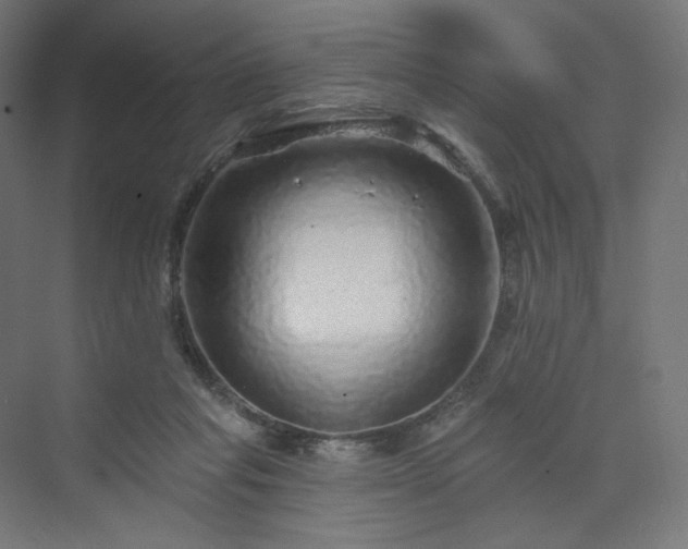 X0000070220261200606021329