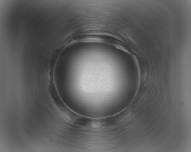 X0000070220264200606021329