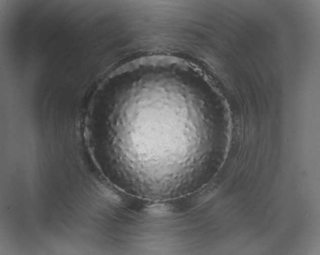 X0000070220269200606021329