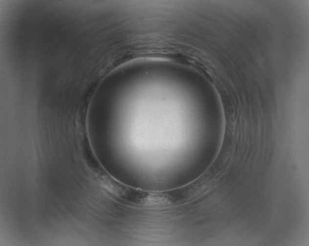X0000070220270200606021329
