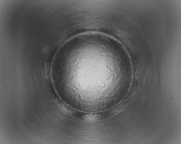 X0000070220273200606021329