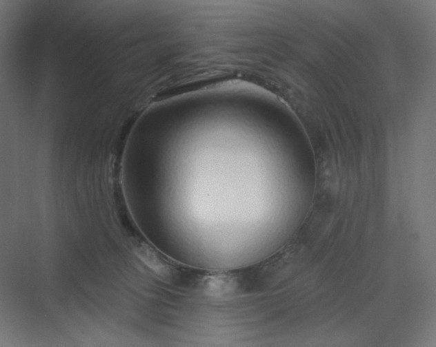 X0000070220275200606021329