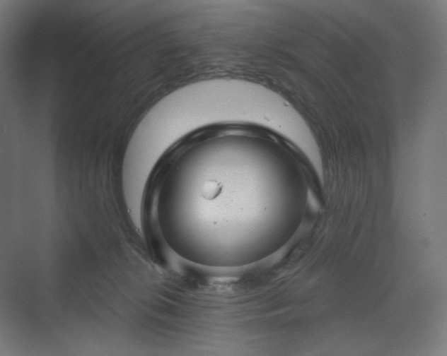 X0000070220276200606021329