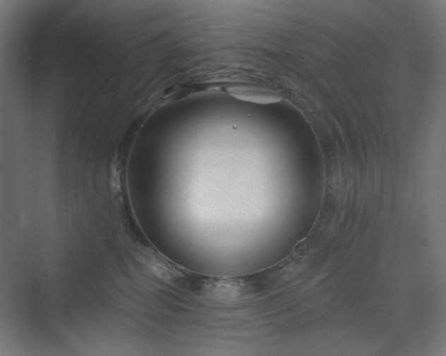 X0000070220282200606021329