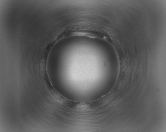 X0000070220283200606021329