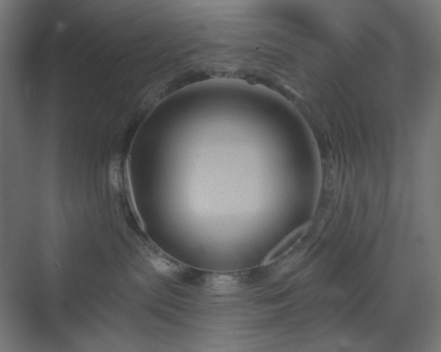 X0000070220287200606021329