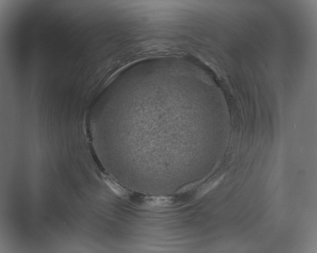 X0000070220288200606021329