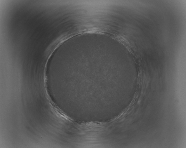 X0000070220290200606021328