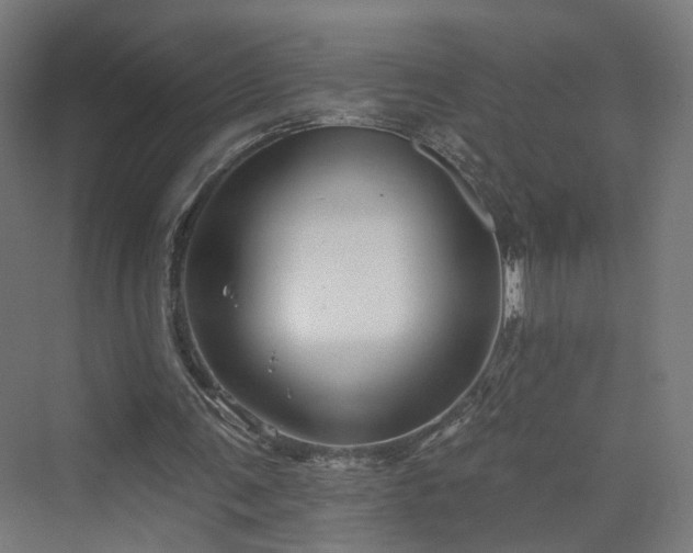 X0000070220291200606021328