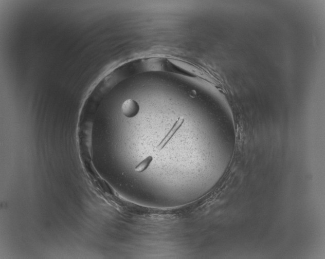 X0000070220292200606021328