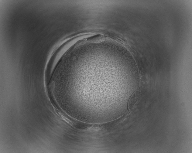 X0000070220294200606021328