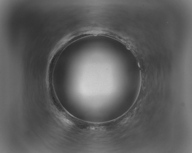 X0000070220296200606021328