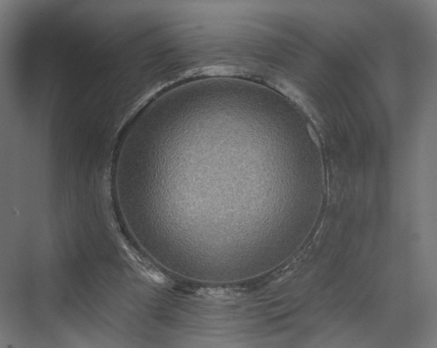 X0000070220297200606021328