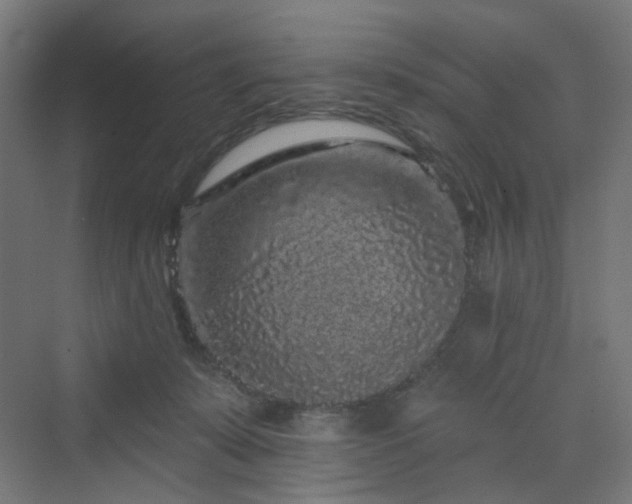 X0000070220319200606021328
