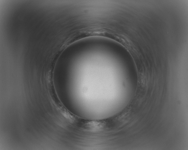 X0000070220326200606021328