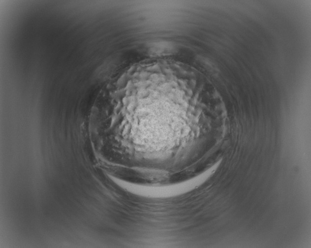 X0000070220327200606021328