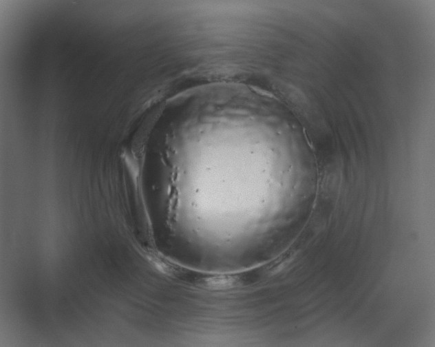 X0000070220335200606021328