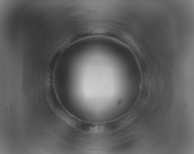 X0000070220362200606021327