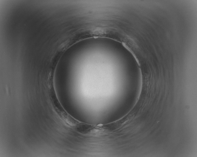 X0000070220364200606021327