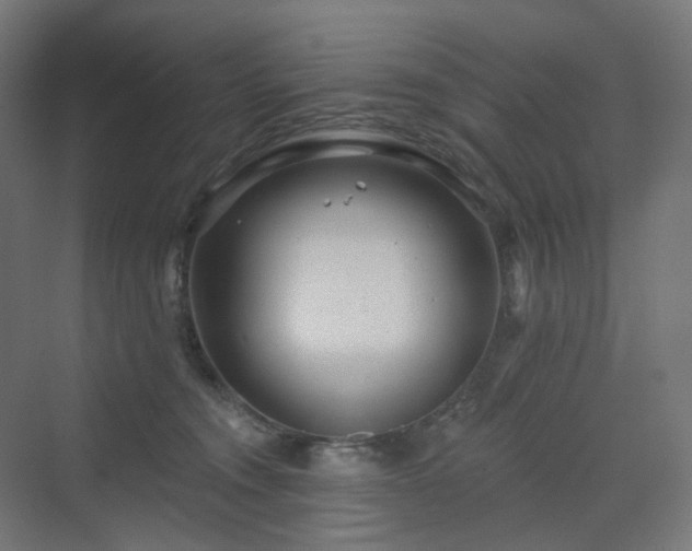 X0000070220372200606021327