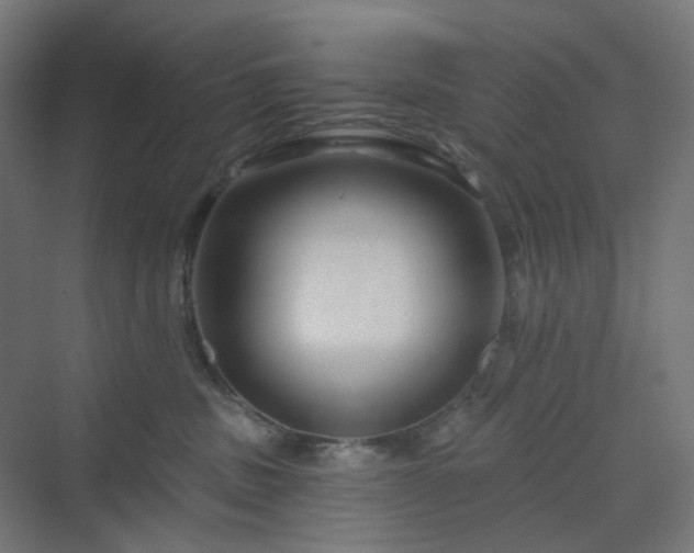 X0000070220379200606021327
