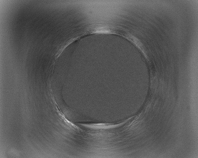 X0000070220385200606021327