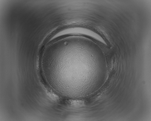 X0000070220400200606021326