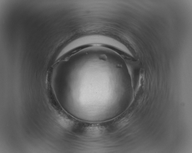 X0000070220404200606021326