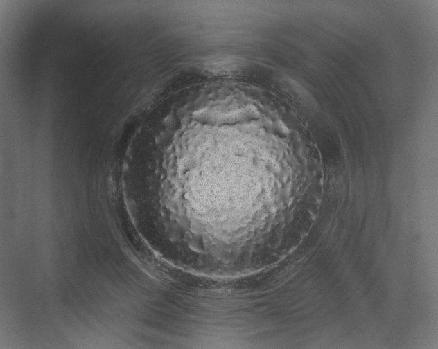 X0000070220408200606021326