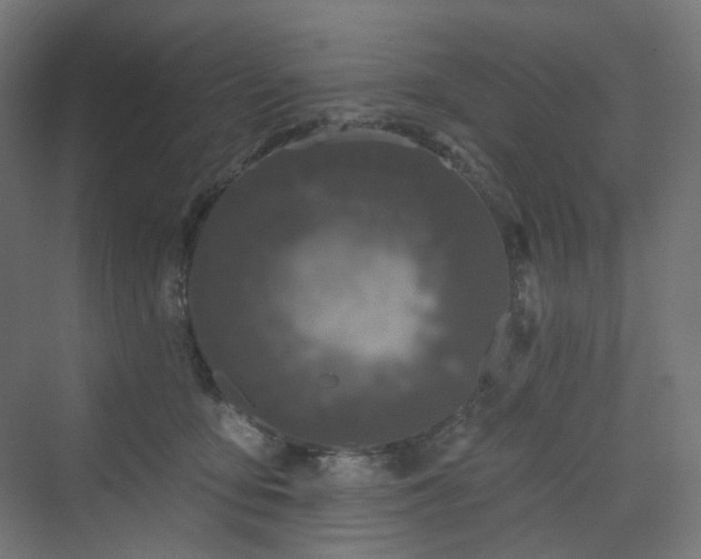 X0000070220419200606021326