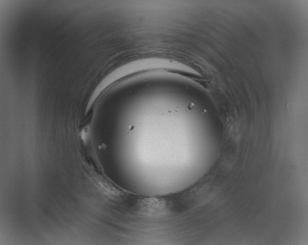 X0000070220421200606021326
