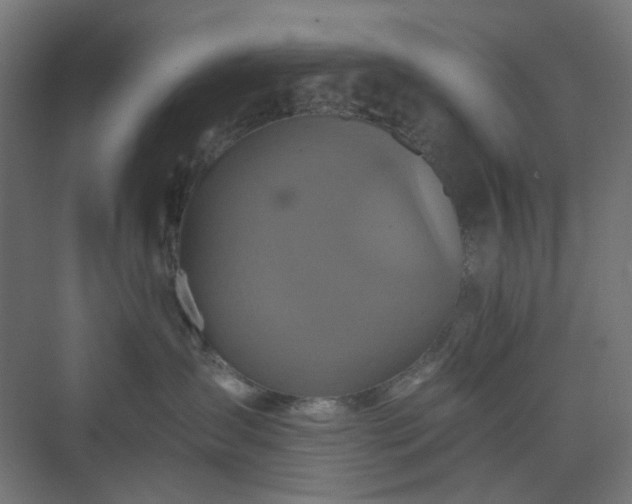 X0000070220431200606021326