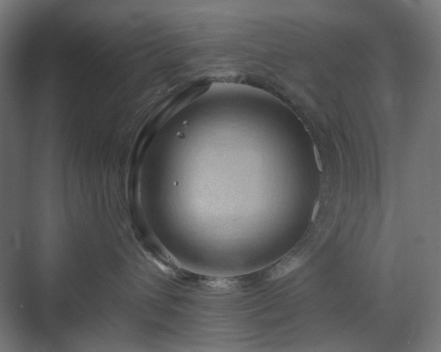 X0000070220432200606021326