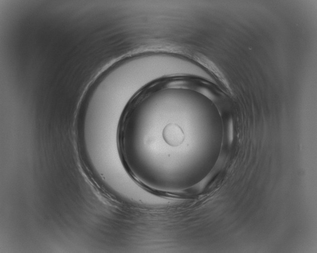X0000070220436200606021325