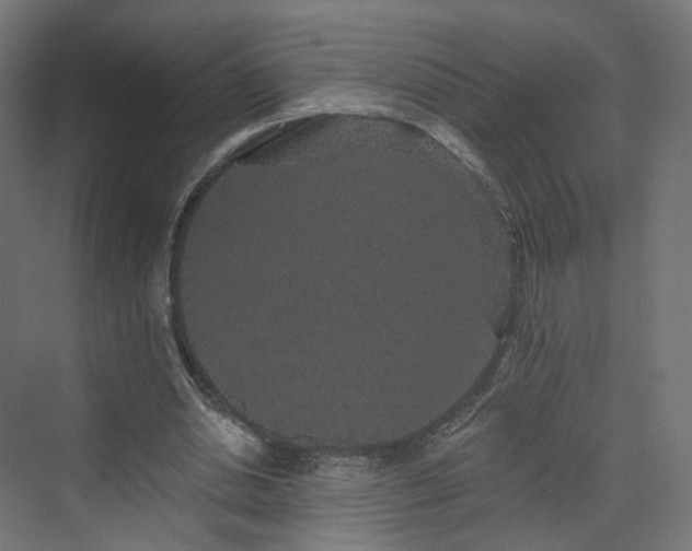 X0000070220438200606021325